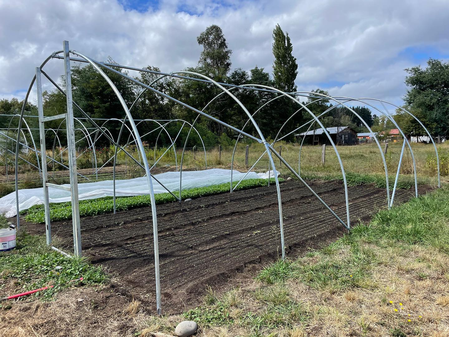 Invernadero galvanizado Sankalpa para productores agrícolas